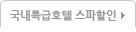 국내특급호텔 스파할인