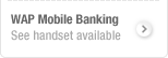 WAP Mobile Banking
    See handset available