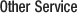 Other Service