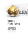 Import Business