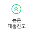 높은 대출한도